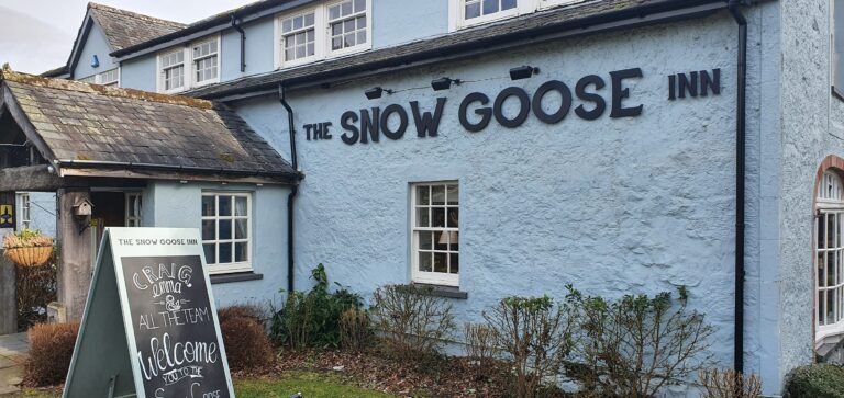 162658117 4103912589631577 8344325904683066321 n 768x363