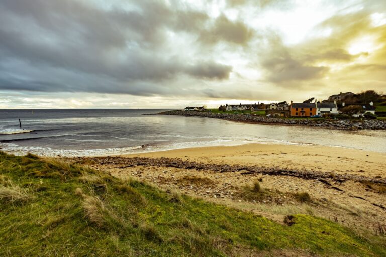 DSCF2304 scaled 1 768x512