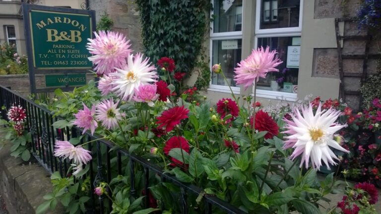 flowersfront 768x432