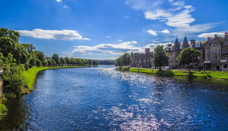 licensed image 2 768x444