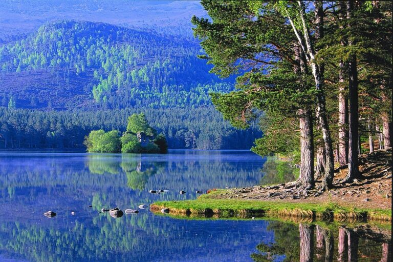 loch an eilein 768x511