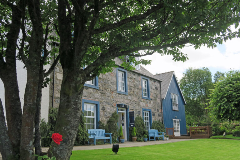 the lime tree 01 768x512