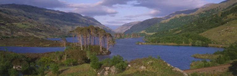 Loch Shiel Cruises 768x246
