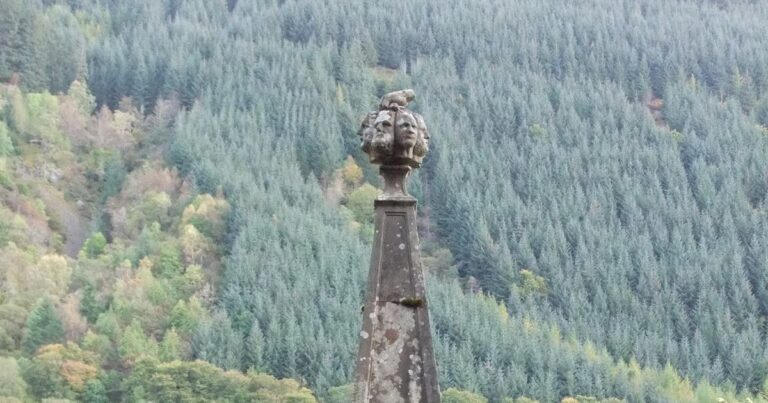 250 Well of 7 heads 768x403