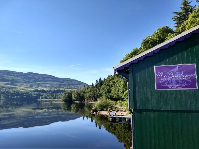 301d2b 8044a23a49704e79afcb2c2b119df327mv2 1 768x576