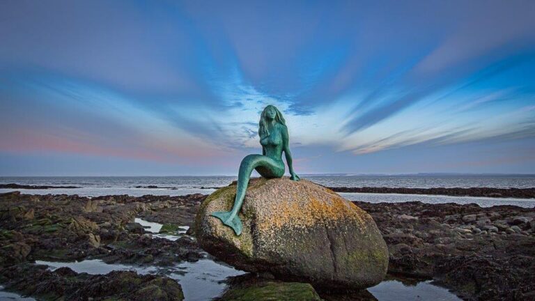Mermaid of North N C Balfour 1 768x432