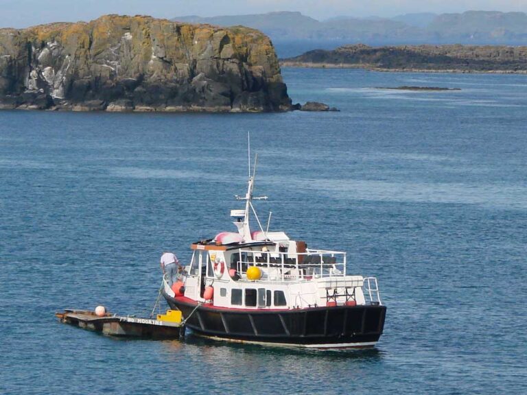 turus mara 3 768x576