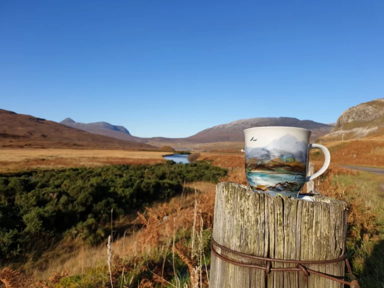 20191031 134629 scaled 1 1 768x576