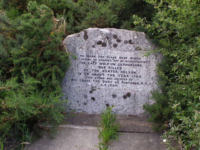 3310490284 ab6e398eae b 1 768x576