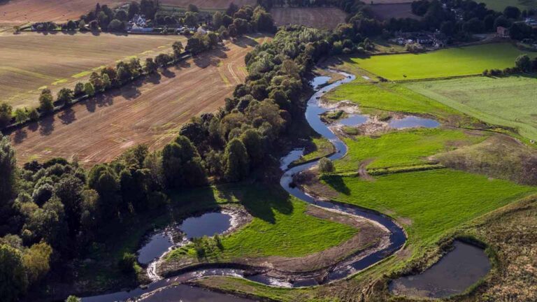 peffery restoration update 768x432