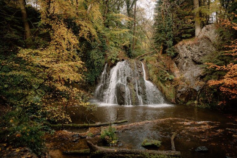 FairyGlenFallsTrail3 1 768x512