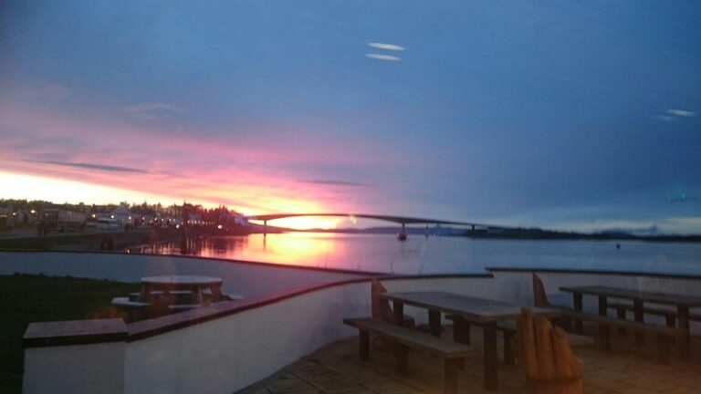 dsc 0351 largejpg 1 768x432